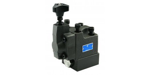 Back Valve